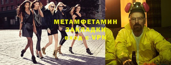 гидра Покачи