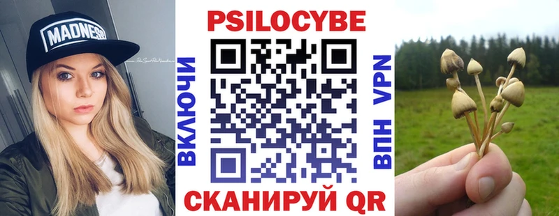Псилоцибиновые грибы мухоморы hydra рабочий сайт Перевоз